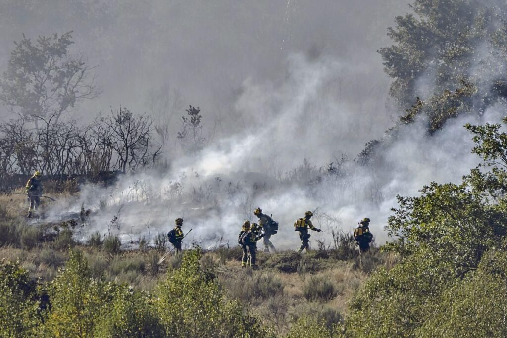 La nueva ley de incendios adaptará la prevención al riesgo real de cada zona
