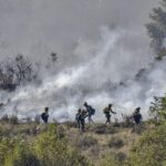 La nueva ley de incendios adaptará la prevención al riesgo real de cada zona