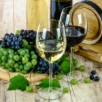 Vinos de Ourense: Ribeiro, Valdeorras, Monterrei y Ribeira Sacra