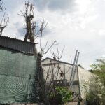 Muere un hombre en Barbadás al caer de un árbol mientras realizaba podaba