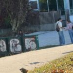 ¿Sabe usted que las elecciones generales también se dejan ver por el campus de Ourense?