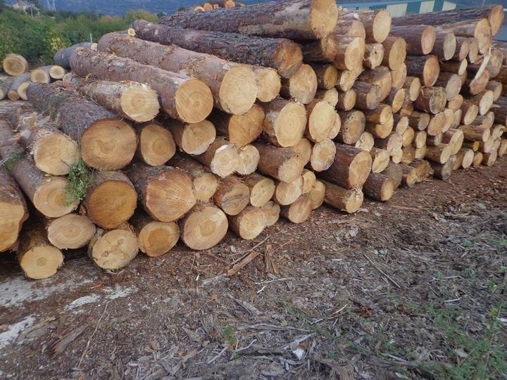 El Concello de A Peroxa estipula faltas y sanciones en una nueva ordenanza que regula la tala de madera