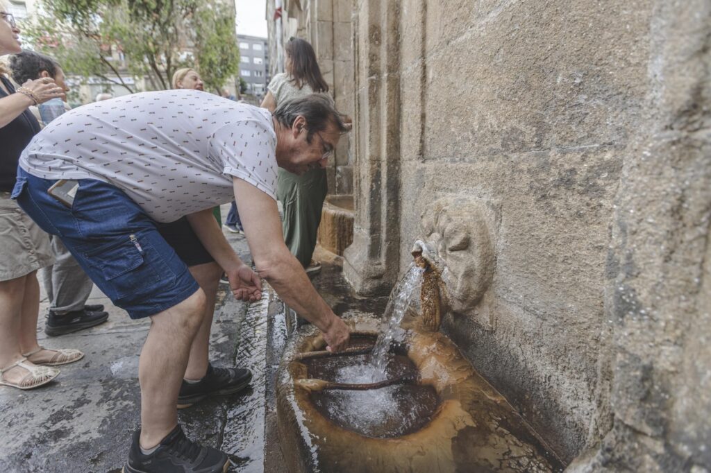 La ciencia descubre en el agua de As Burgas enzimas que pueden mejorar la leche